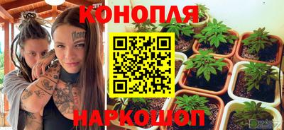 spice Малгобек